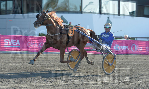 Moni VIking mål.t5ed28452.m600.w.4salnwmark2.png.x1t3TDBWw.jpg