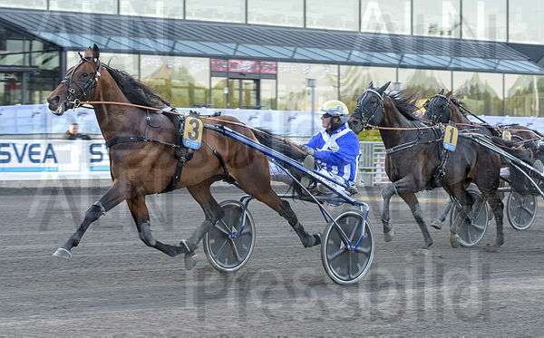 Ecurie D. mål (2).t5f70abcc.m600.w.4salnwmark2.png.x7cTrIe0o.jpg