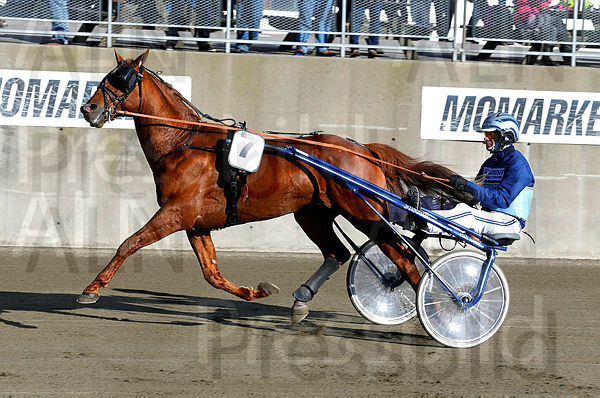 Moni Viking heat 1.t5a4f62bd.m600.w.4salnwmark2.png.x0TJuSGr6.jpg