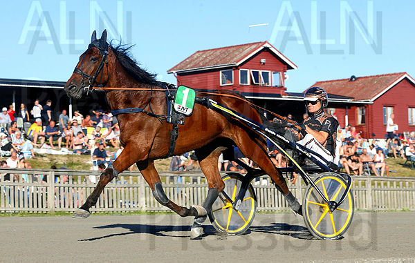 Born Unicorn heat 1.t5c13fc81.m600.w.4salnwmark2.png.xYSVwA20V.jpg