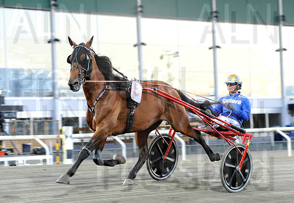 Vitruvio heat.t5f2130b4.m600.w.4salnwmark2.png.xFBU5RVzC.jpg
