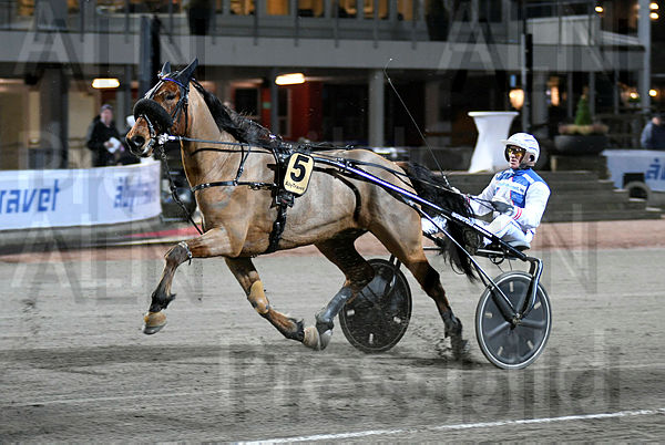 Maestro Crowe värmn.t5e44586d.m600.w.4salnwmark2.png.x9va8f10q.jpg