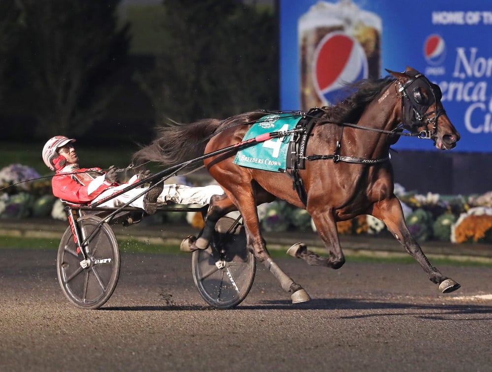 Manchego-Breeders-Crown-2019-Mare-Trot-Claus-Andersen-Race-Three-002.jpg