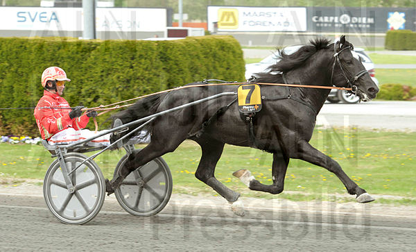 Ingbest heat 2.t592ecd8c.m600.w.4salnwmark2.png.xQhTo2_R9.jpg