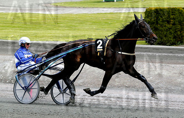 Dixie Brick heat 1.t5ed260a4.m600.w.4salnwmark2.png.x3ZOme8CC.jpg