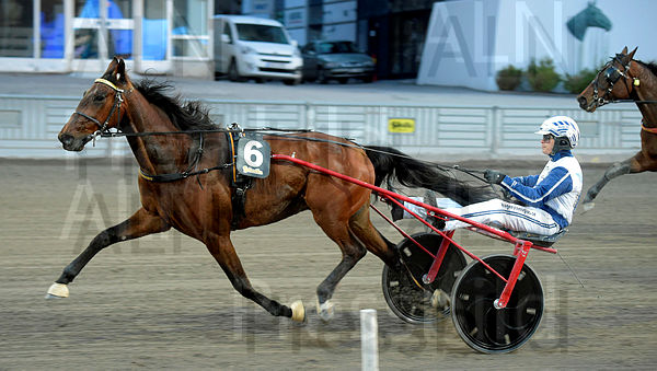 Zorro Wind mål 2.t6089a1ab.m600.w.4salnwmark2.png.xqofKJc17.jpg