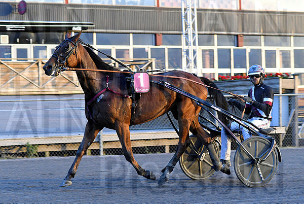Tony Afrika def DSC_0966.t5f1d8c40.m600.w.4salnwmark2.png.xMvjTpVkr.jpg