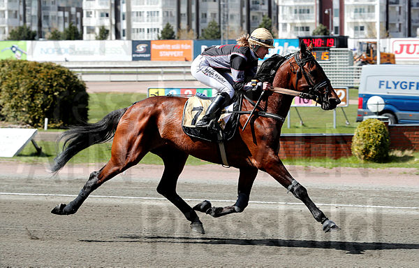 Zauni heat 1.t60998211.m600.w.4salnwmark2.png.xOKruPoQT.jpg