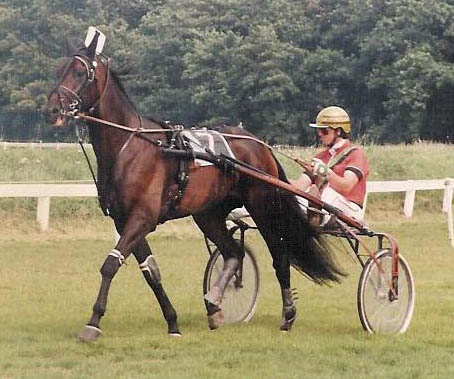 Floris Bos 01.jpg