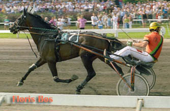Floris Bos2.jpg