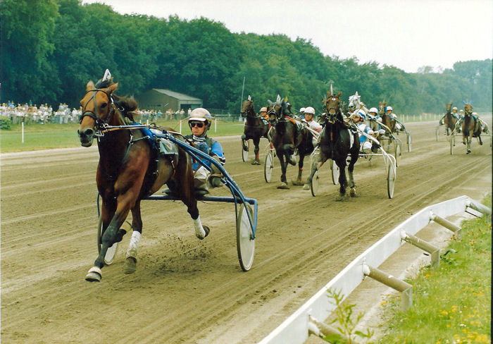 John F Boko Derby 3.jpg