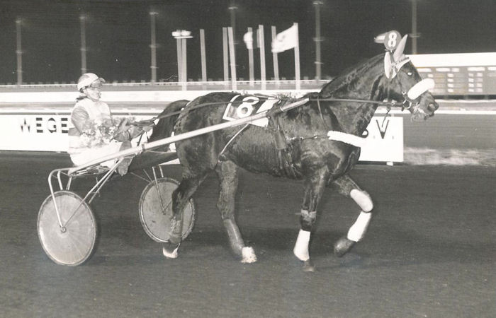 Remi Star 6-1-1984 e.jpg