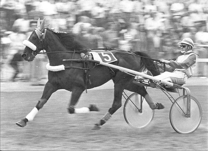 Remi Star 6-8-1982.jpg