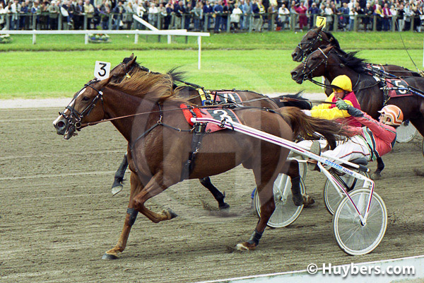 Lage-Landen-2000-010-Hinde-Buitenzorg-Hennie-Grift.jpg