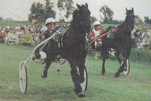 Ido Baldwin Stompw 01 a.jpg