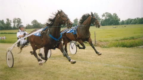 Ido Baldwin Stompw 05 b.jpg