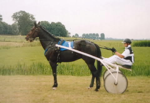 Ido Baldwin Stompw 05 WvdM.jpg