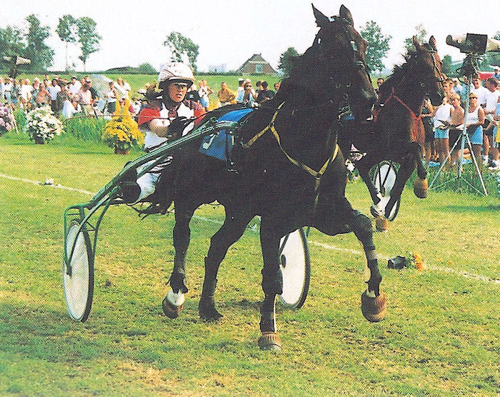 Ido Baldwin Stompw 99 a.jpg