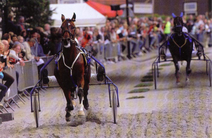 Vivas Limburgia Egmond 2008.jpg