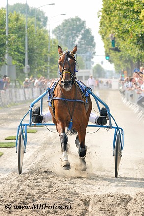 Vivas Limburgia Hoofddorp 2013.jpg