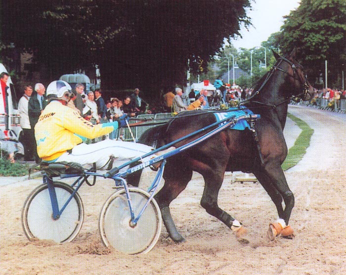 Mister Diamond Lisse 99.jpg
