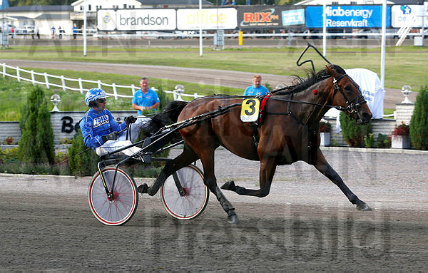 Todays Estelle mål 2.t5c31ef04.m600.w.4salnwmark2.png.xAQ_sn8jW.jpg