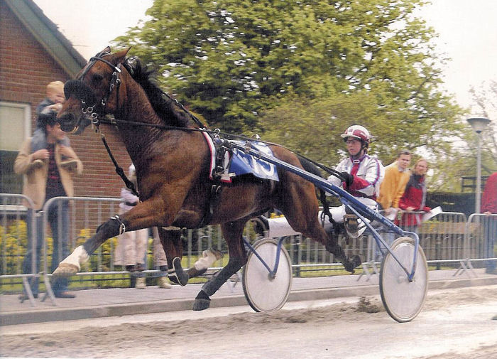 Nandoe Enzelens KB Assendelft 2005 (1).jpg