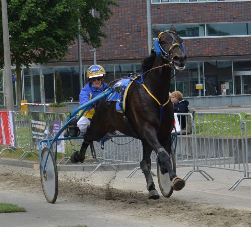 Blackpearl Trans R Utrecht2016.jpg
