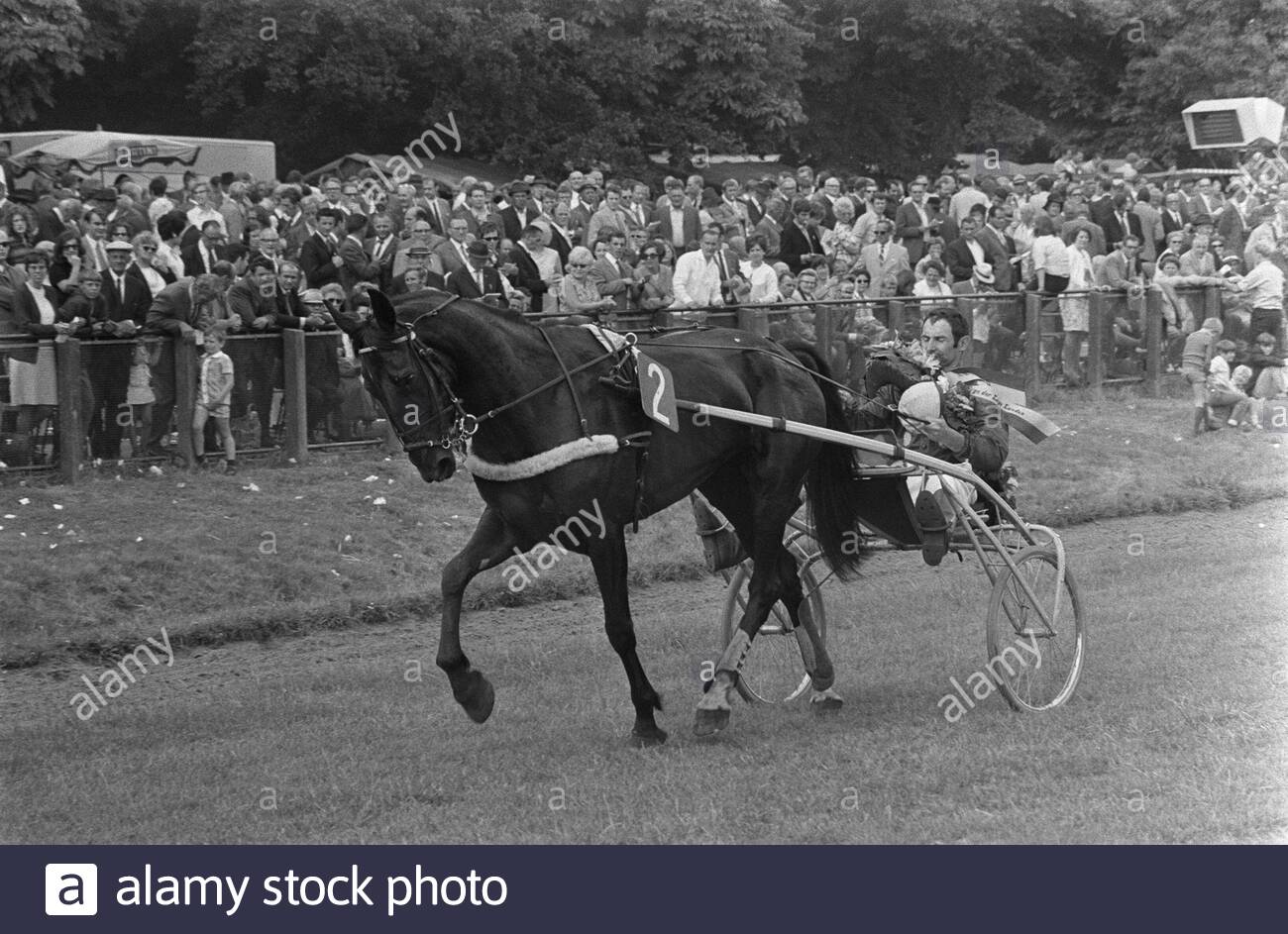 course-for-the-grand-prix-of-the-low-countries-1970-description-the-frenchman-j-roussel-wins-with-the-horse-tatusca-davril-and-makes-honorary-annotation-see-also-stock (2).jpg