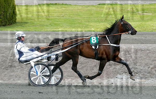 Thriller N.P. heat 1.t5cebd5a7.m600.w.4salnwmark2.png.xUuK_MIDp.jpg