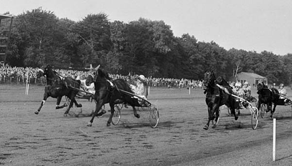 ANP Diogen N-B 1967.jpg