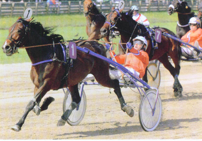 Caen Oldeson HollBelg 2014.jpg