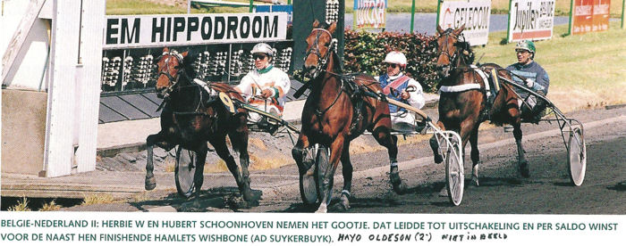 Hamlets Wishbone B-N 1994 (1).jpg
