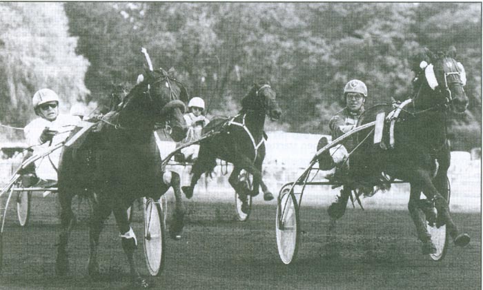 Its Buitenzorg B-N 1994 a.jpg