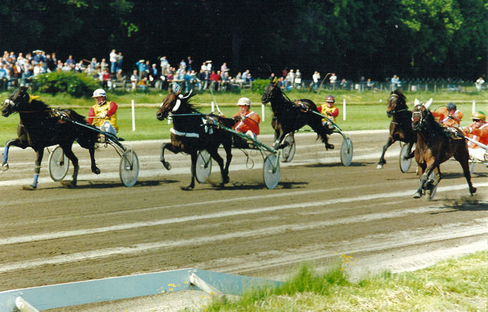HollBelg 93 Cesar Lusie D.jpg