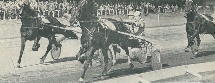 Lady N-B 1974.jpg