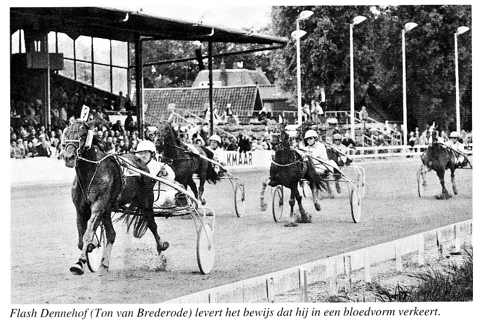 1 Juli z Foto 1.jpg