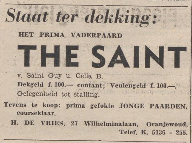 The Saint.jpg