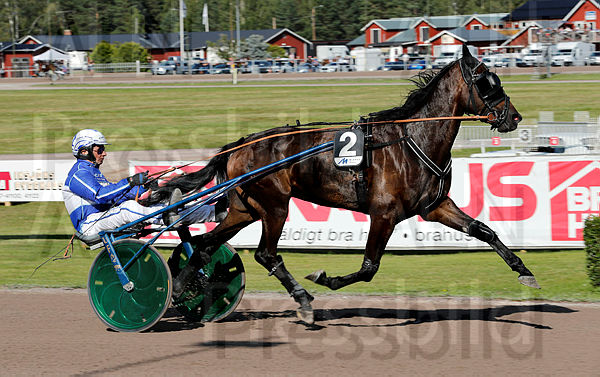 Deede Star heat 1.t5dc6e937.m600.w.4salnwmark2.png.xjZQG8M8M.jpg