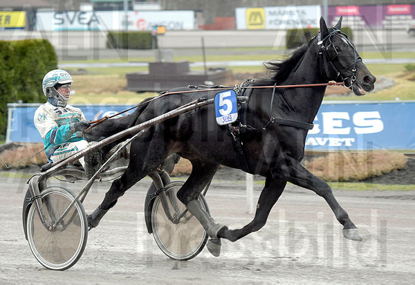 Erv Zet heat 2.t606d6c53.m600.w.4salnwmark2.png.xu-2JLTdq.jpg