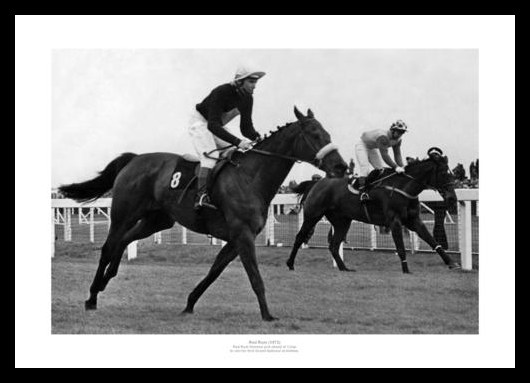 Horseracing-RedRum-1stWin-RE00042393.jpg