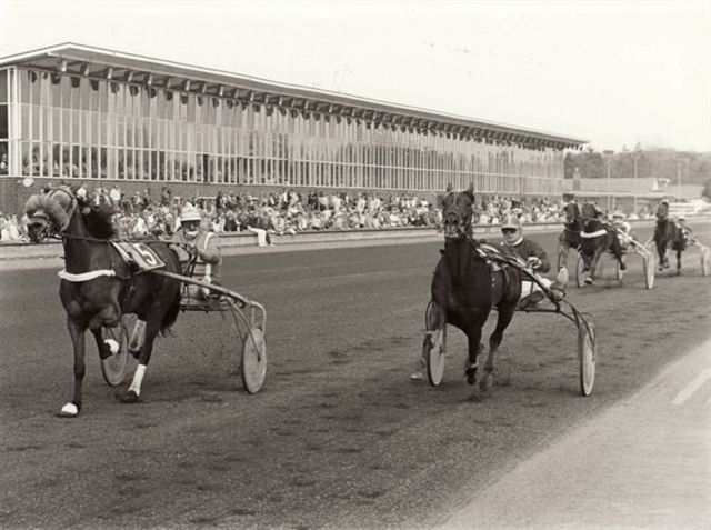 Unie Loe Grote Benelux-prijs 1984.jpg