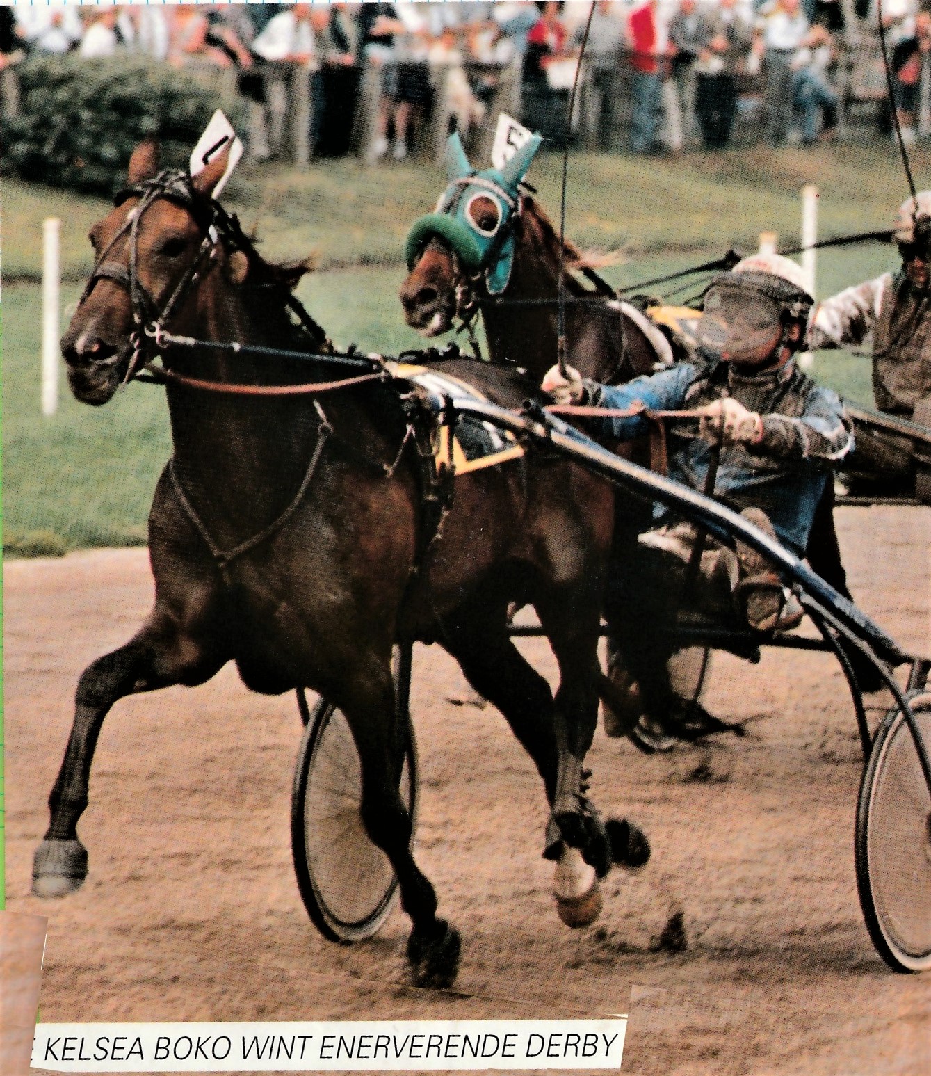 11 Aug Derby K 6  Kelsea Boko.jpg