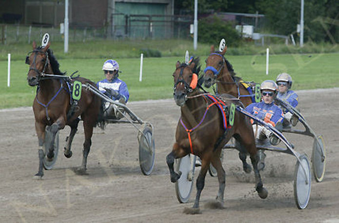 Ariane Beemd Derby Sel II.jpg