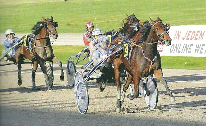 Ariane Beemd Stuten 2012.jpg