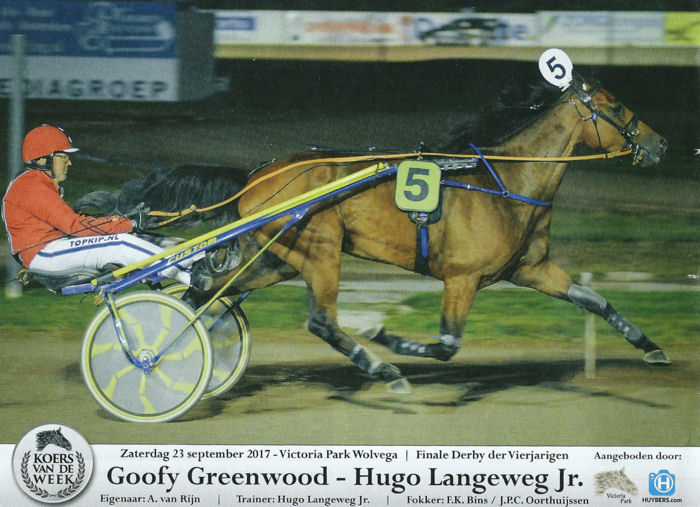 Goofy Greenwood 4j Derby.jpg