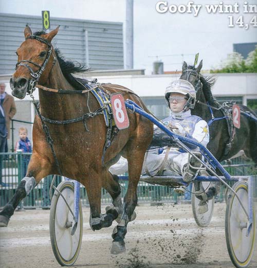 Goofy Greenwood Crit 3j.jpg