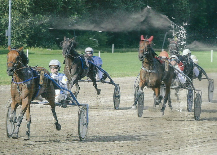 Goofy Greenwood Derby a.jpg