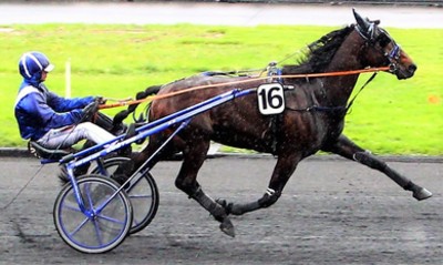 1202673_PHW_delfino.jpg