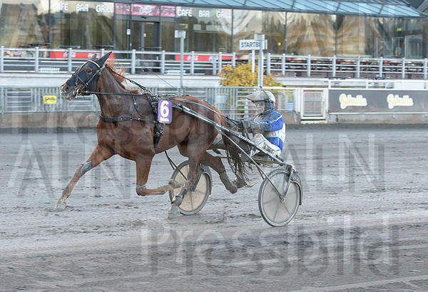 Raja Knight mål.t5f898bf0.m600.w.4salnwmark2.png.xFaZ-N4K0.jpg